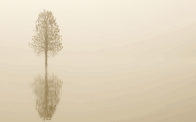 Storytelling: The Silence Between Us
